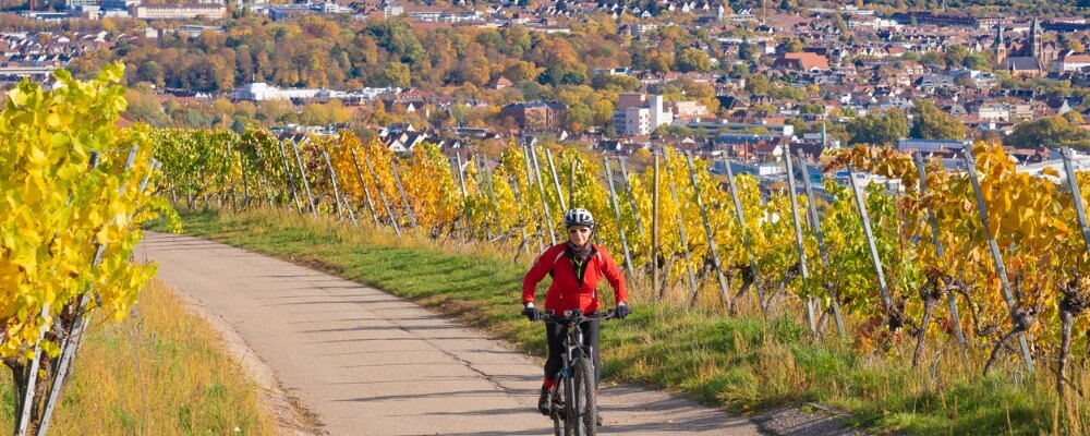 BWL mit Wirtschaftsinformatik in Baden-Württemberg