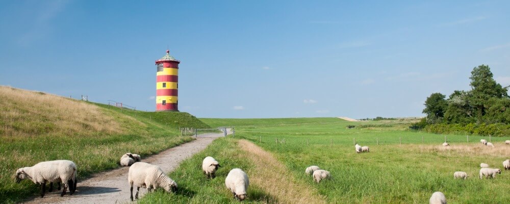 Berufsbegleitendes Präsenzstudium Informatik in Niedersachsen