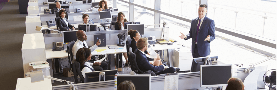 IT Consultants Großraumbüro, Vogelperspektive